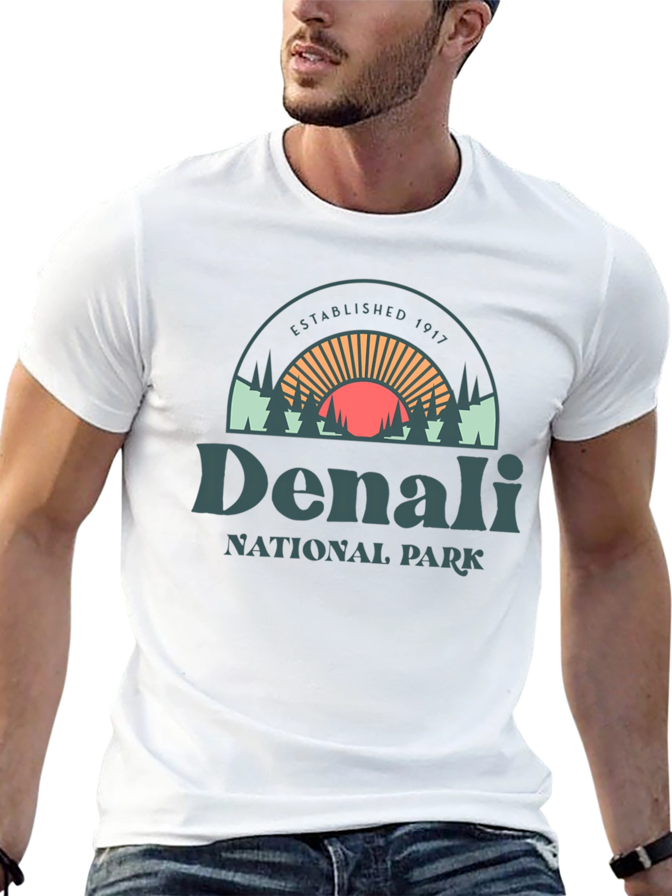Denali National Park Graphic Tee - Black Cotton Shirt