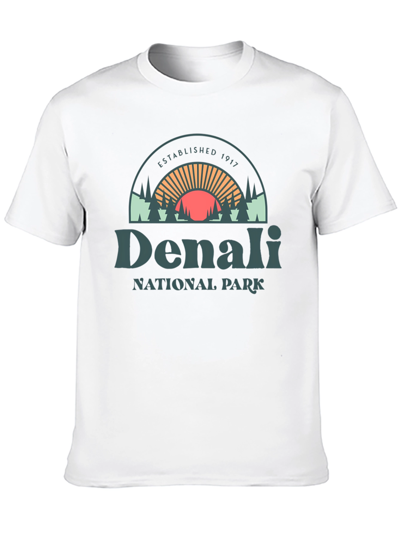 Denali National Park Graphic Tee - Black Cotton Shirt
