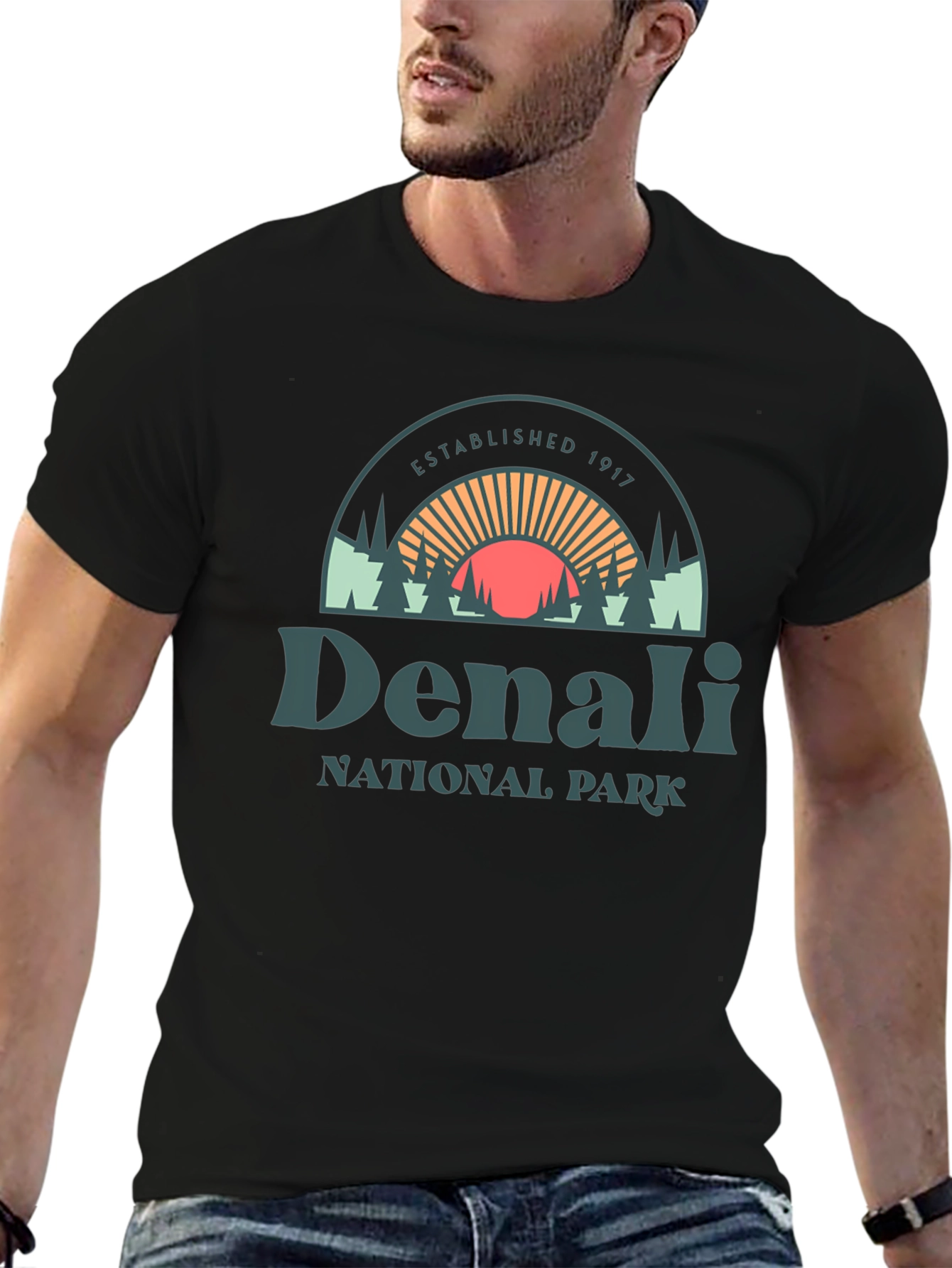 Denali National Park Graphic Tee - Black Cotton Shirt