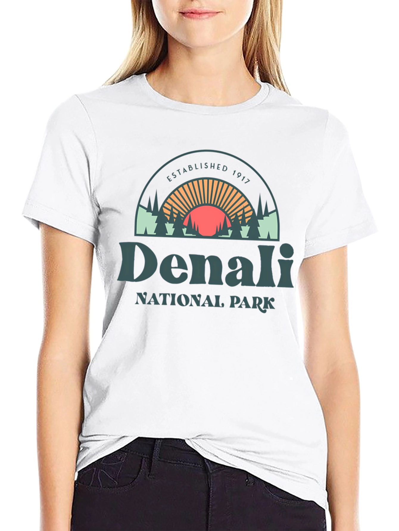 Denali National Park Graphic Tee - Black Cotton Shirt