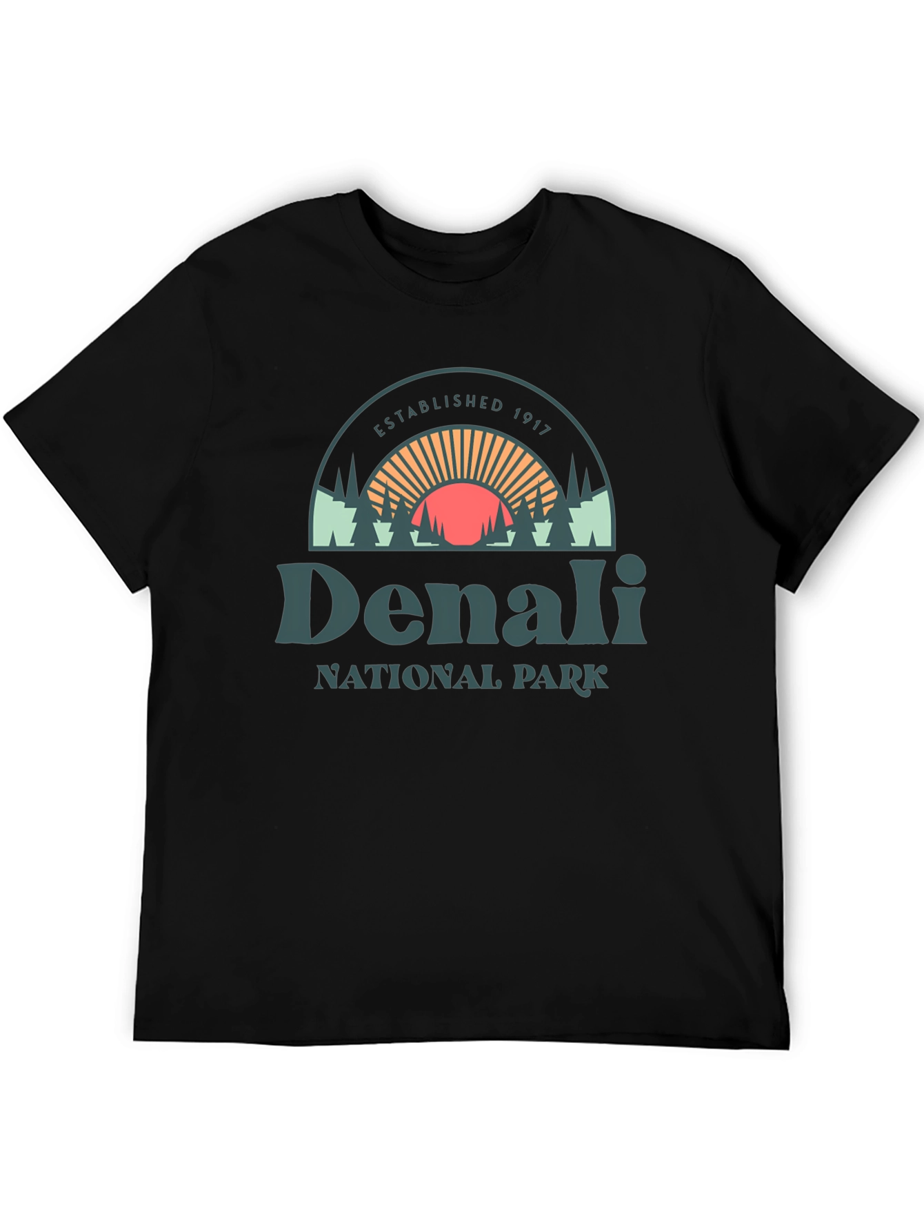 Denali National Park Graphic Tee - Black Cotton Shirt