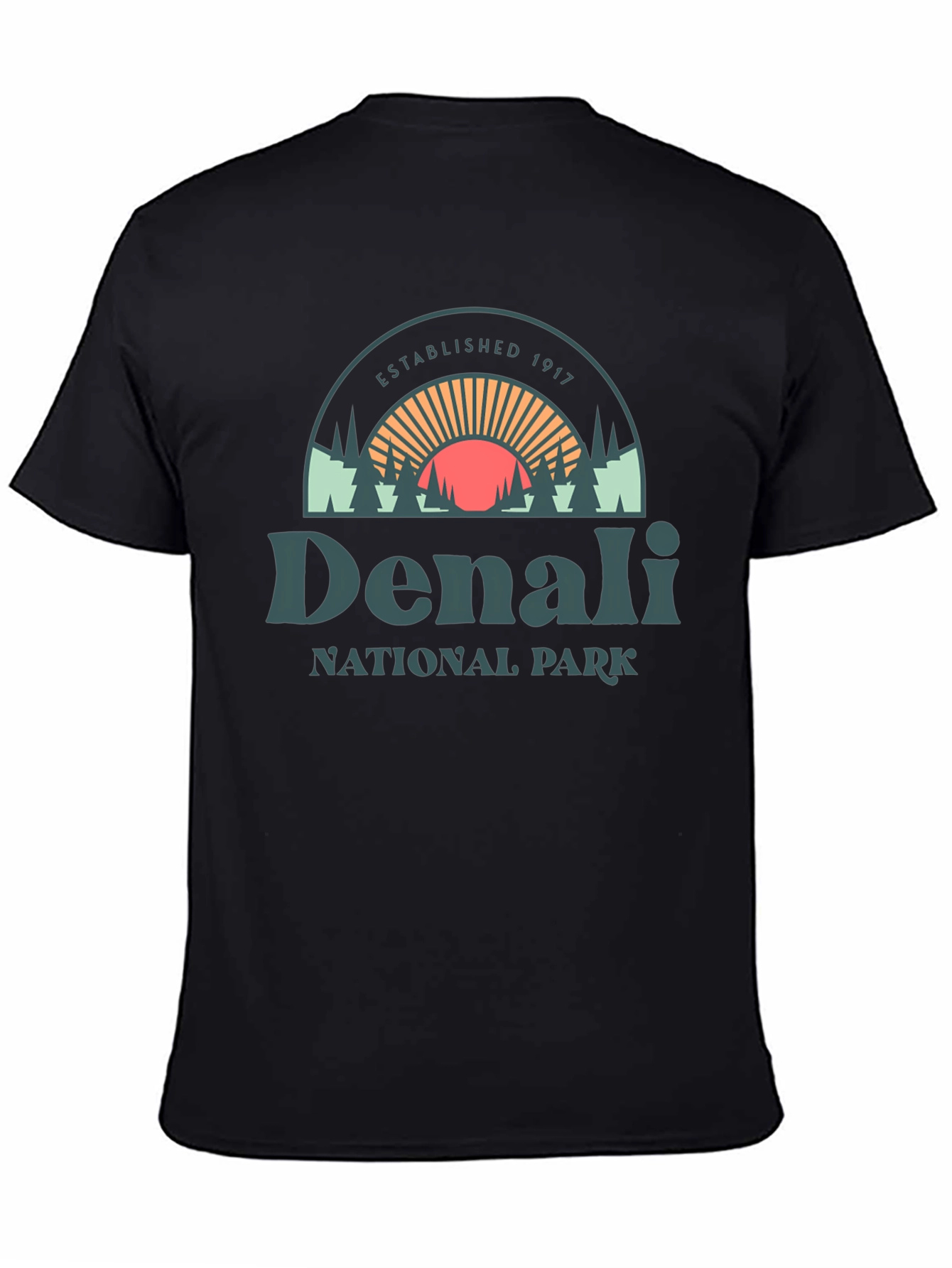 Denali National Park Graphic Tee - Black Cotton Shirt