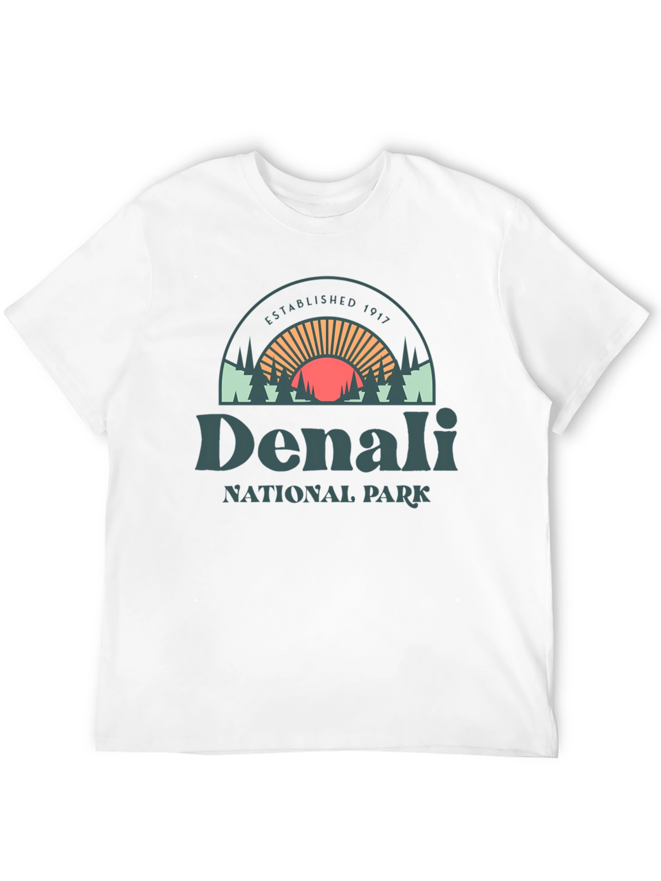 Denali National Park Graphic Tee - Black Cotton Shirt