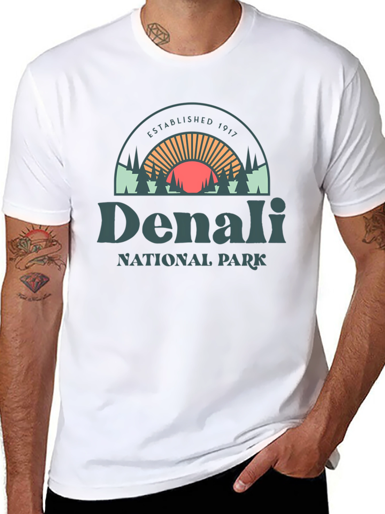 Denali National Park Graphic Tee - Black Cotton Shirt