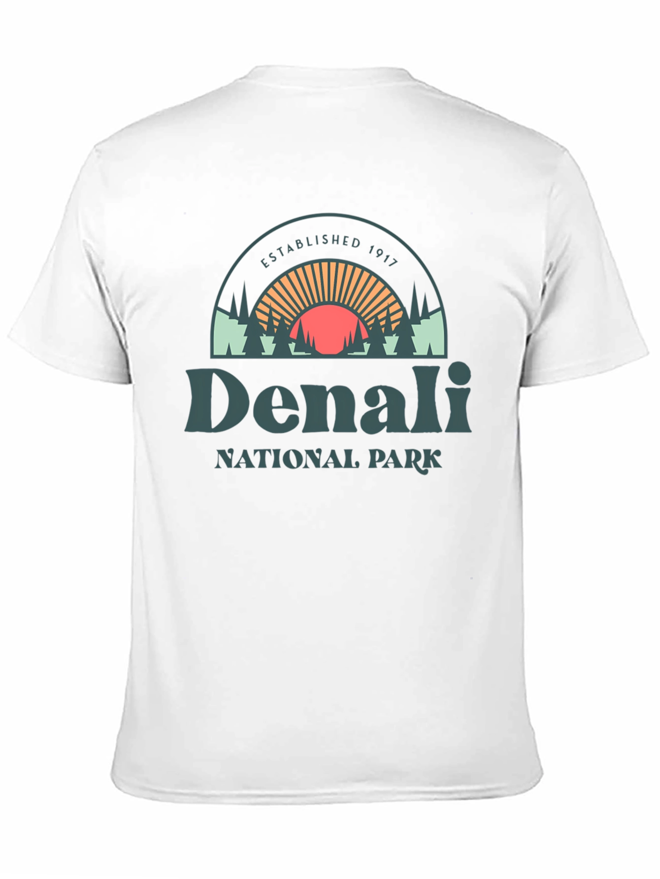 Denali National Park Graphic Tee - Black Cotton Shirt