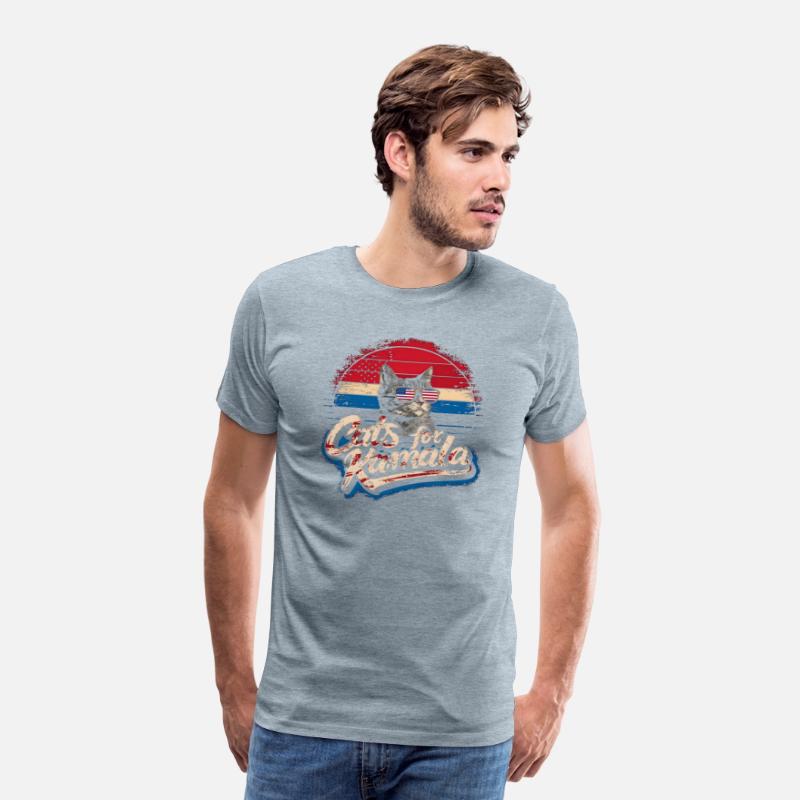 Vintage Cats for Kamala Patriotic Design